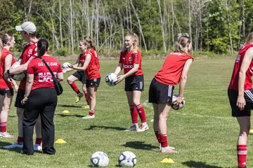 Bild 53 - F SG NieBar - IF Stjernen Flensborg : Ergebnis: 2:0
